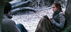 Harry and Hermione in the Forest of Dean DHF1