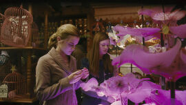 Hermione e Gina na Gemialidades Weasley