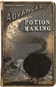 Harry Potter - Porte-clé Advanced Potion Making - Imagin'ères