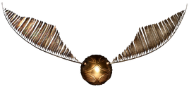 Golden Snitch.