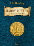 Brazilian collector's edition, Harry Potter e a Pedra Filosofal, published by Rocco