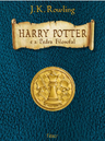 Brazilian collector's edition, Harry Potter e a Pedra Filosofal, published by Rocco