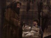 Hagrid z harrym