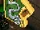 Harry Potter under Slytherin's crest DHG2 NDS.png