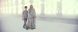 Harry and Dumbledore in limbo
