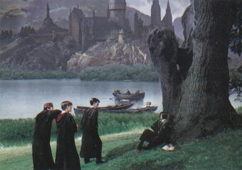 セブルス スネイプ Harry Potter Wiki Fandom セブルス スネイプ Harry Potter Wiki Fandom