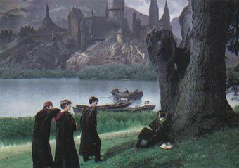 シリウス ブラック Harry Potter Wiki Fandom