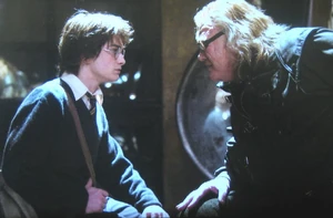 Гарри и лже-Грюм