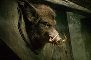 Hogshead.jpg