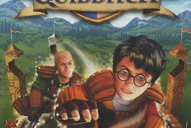 HARRY POTTER COUPE du Monde de Quidditch - Jeu PC Cd Rom - Complet EUR 5,00 - FR