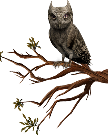 Hibou Wiki Harry Potter Fandom Hibou Wiki Harry Potter Fandom