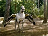 Hippogriff