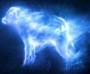 Ron's dog Patronus