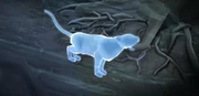 Patronus leonessa