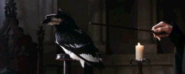 Фереверто