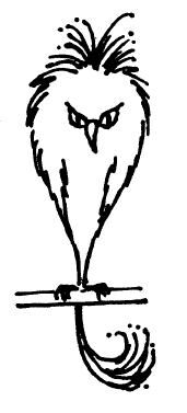 pics Fwooper Quill fwooper harry potter wiki fandom
