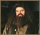 Hagrid hagrid oh.jpg