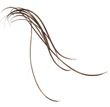 Human hair[17]