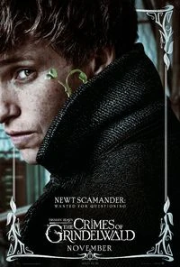 Newton Scamander