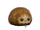 Puffskein - PAS.png