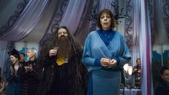 Rubeus Hagrid Olympe Maxime D H Wedding 1