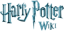 Harry Potter Magic Awakened Harry Potter Wiki Fandom