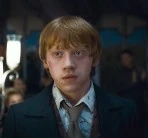 A111.jpg (6 kB) Ron Wemel