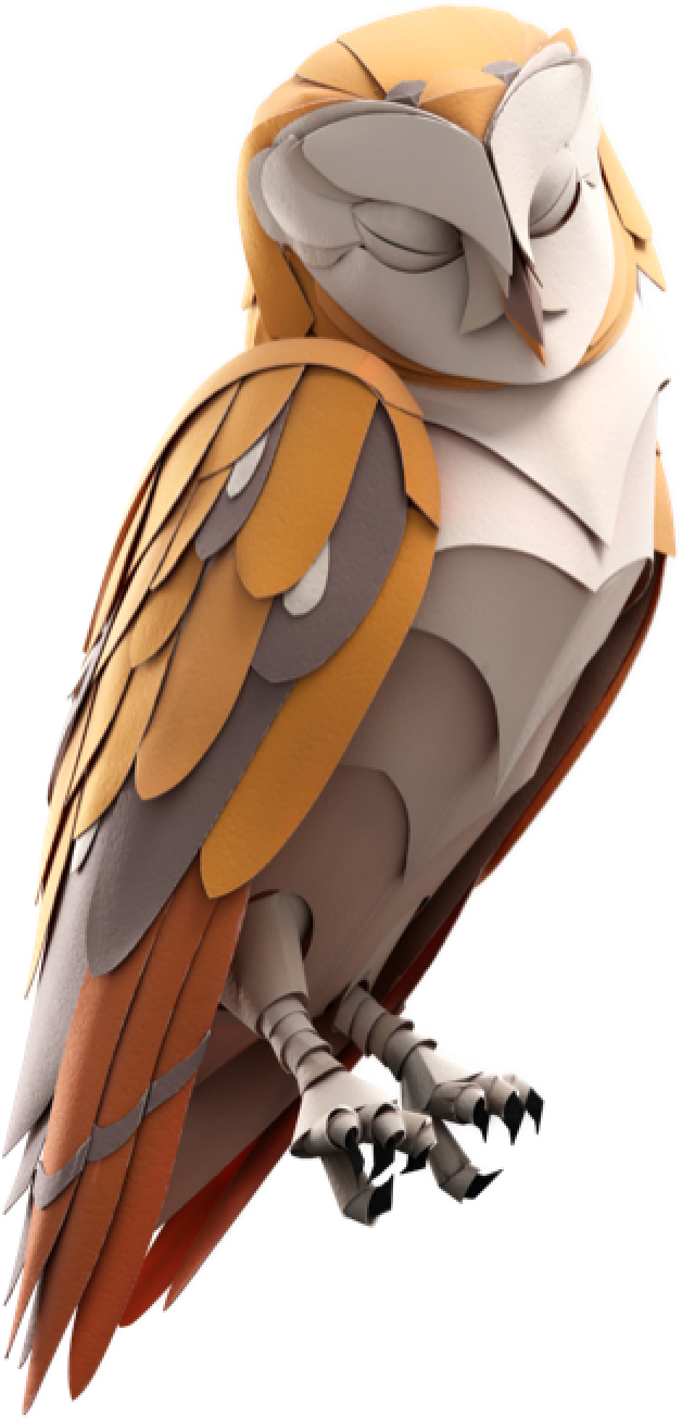 Owls, Pottermore Wiki