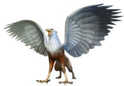 Griffioen HM