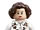 LegoPetunia2020.jpg