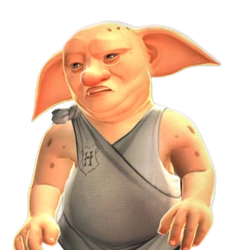 カテゴリ 屋敷しもべ妖精 Harry Potter Wiki Fandom