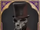 Poacher Duellist