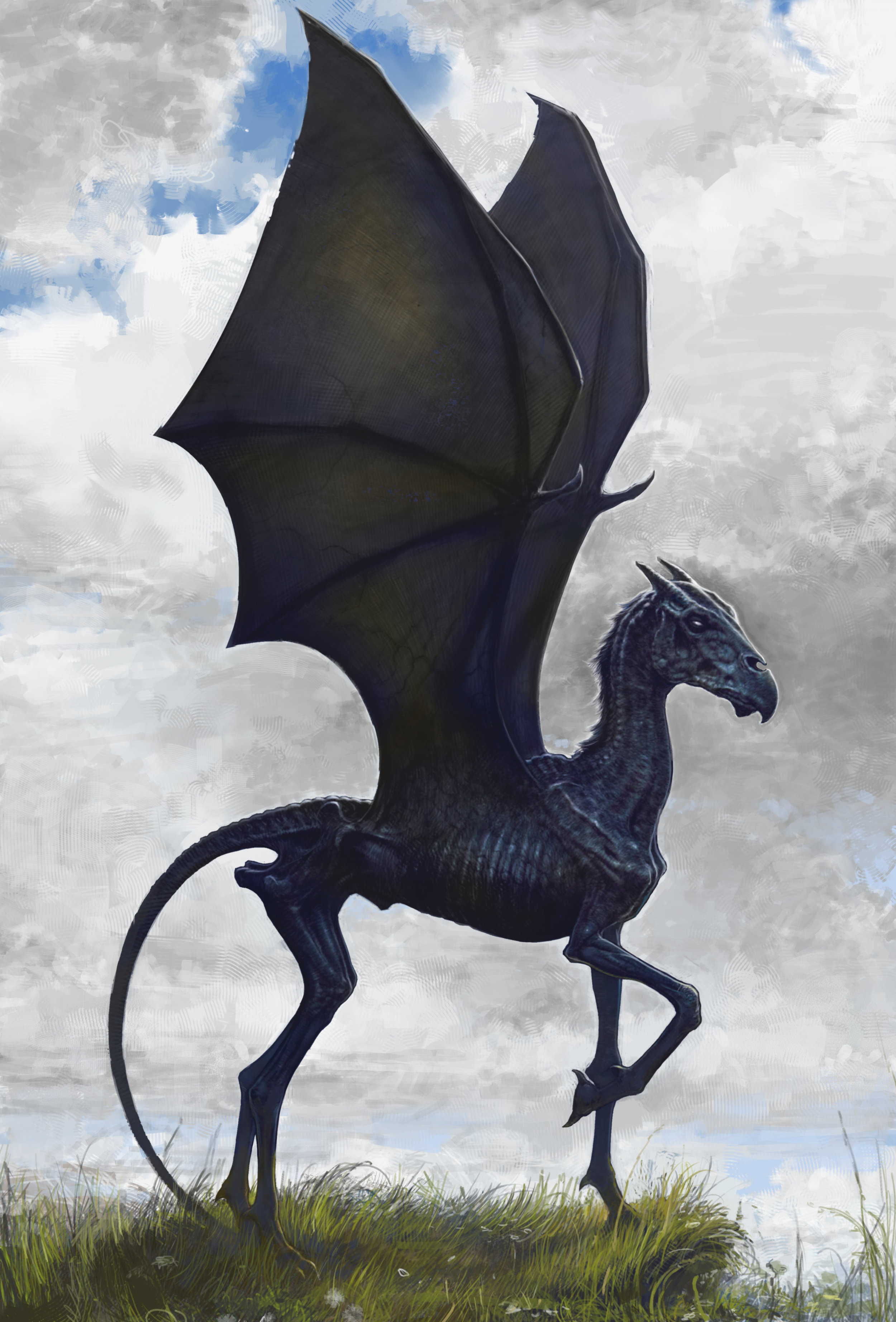 Thestral, Harry Potter Wiki