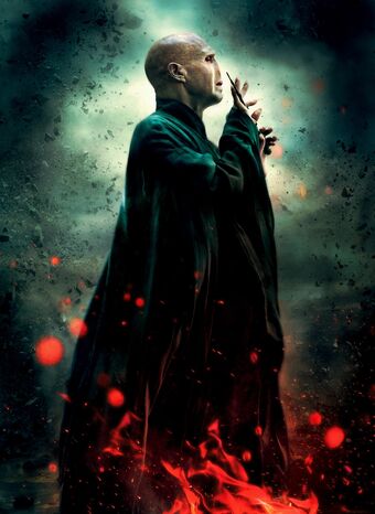 Tom Riddle Harry Potter Fandom