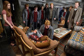 HP7 George