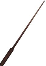 Modesty wand (1)