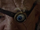 Alastor Moody's magical eye
