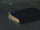 Lord Voldemort's Horcruxes.gif
