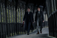 The Secrets of Dumbledore - Scamander Brothers Bridge