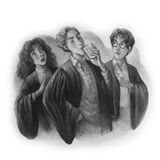 14-felix-felicis