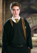 Cedrik Diggory