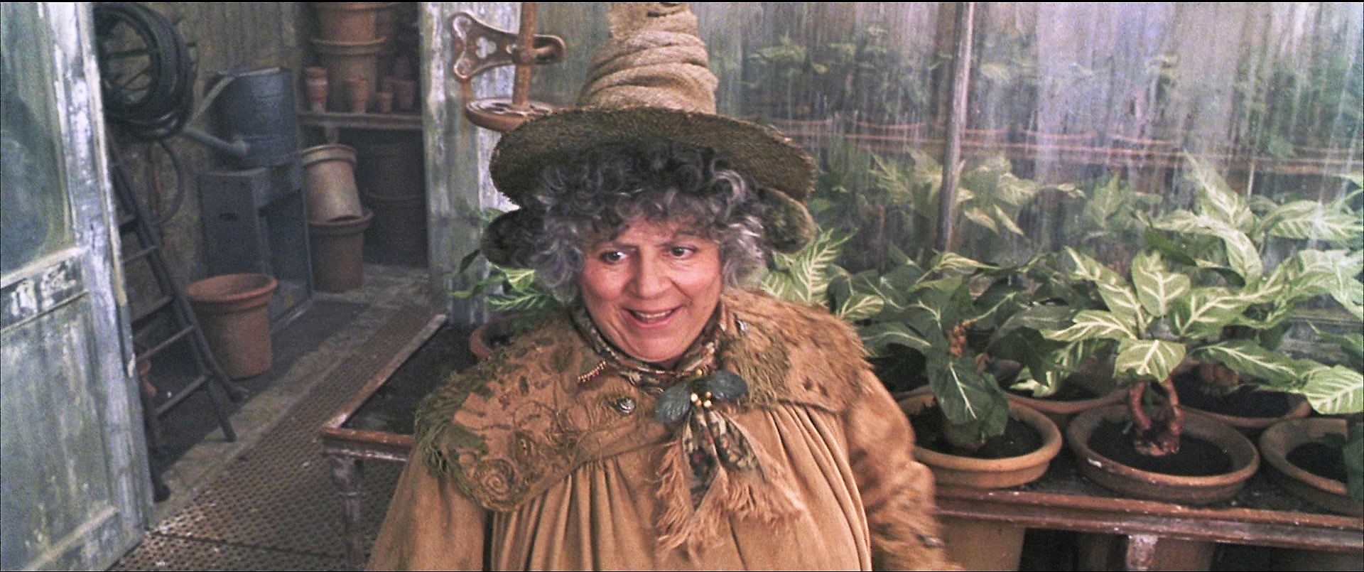 professor sprout mandrake