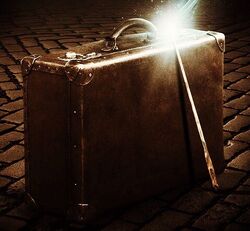 Newton Scamander's suitcase