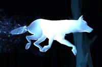 Wilk jako patronus