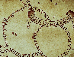 Dumbledore on the Marauder's Map.gif
