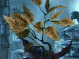 嗅幻草