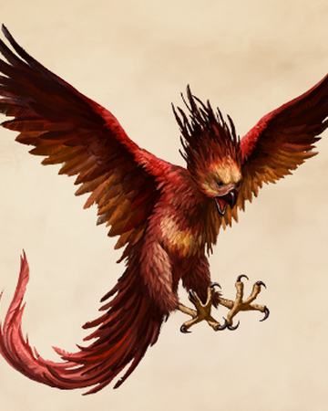 Phoenix Harry Potter Wiki Fandom