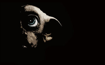 Dobby harry potter chaussette top