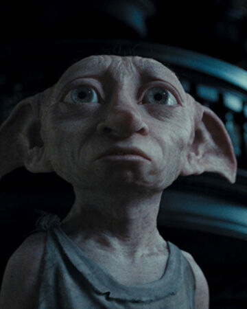 Dobby Wiki Harry Potter Fandom