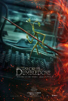 SDf-Poster PickettTheBowtruckle